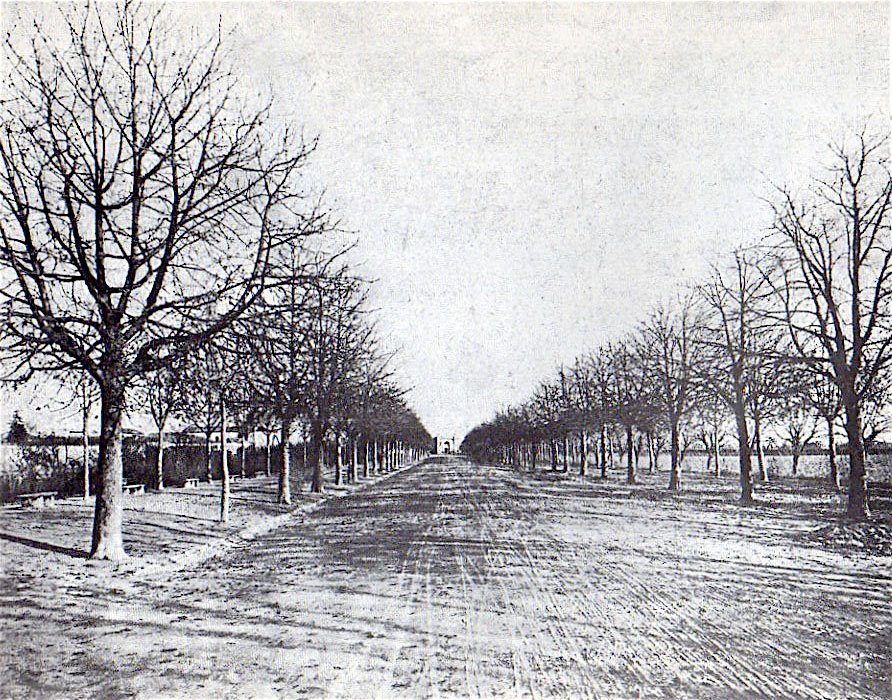 [cml_media_alt id='3008']stradone[/cml_media_alt]